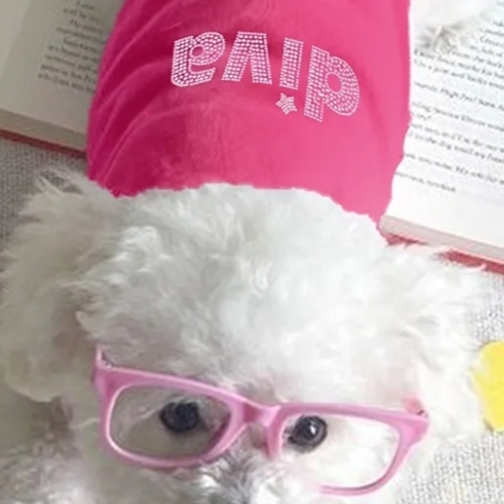 Pink Diva Dog Shirt